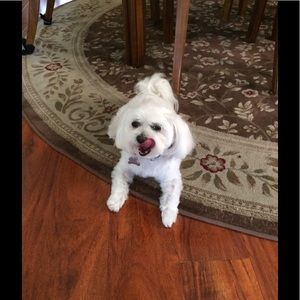 WATCH FOR NEW AND EXCITING THINGS! CLOTHING, ART WORKS AND MUCH MORE.