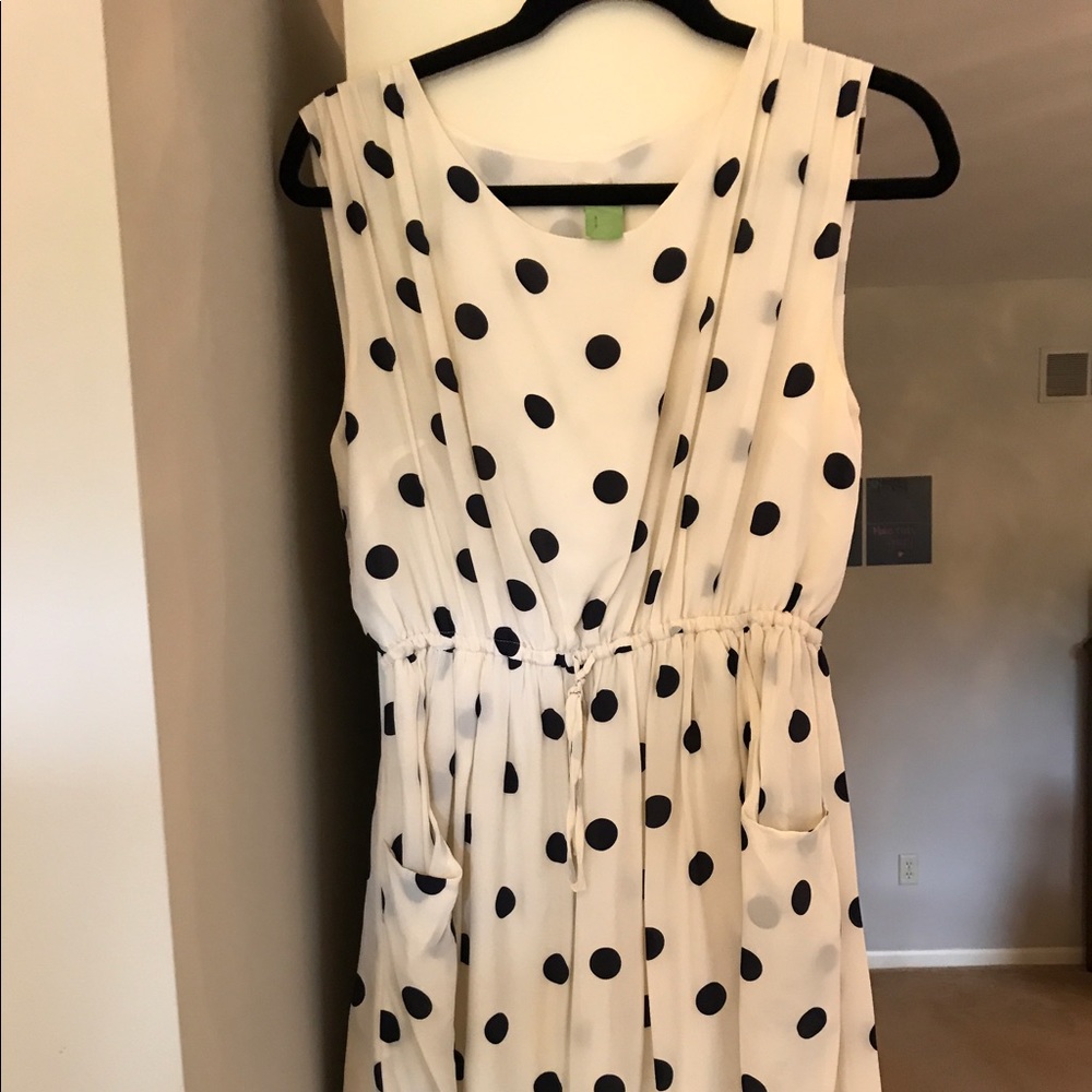 JCrew Polka Dot Dress