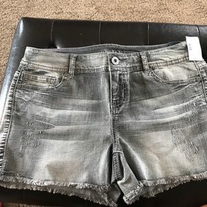 Maurice's shorts size 9/10. Never worn. NWT