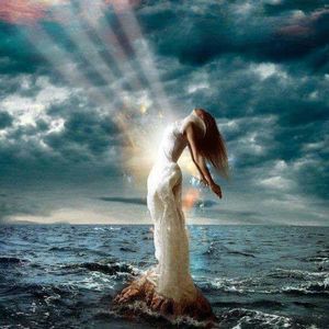 Meet your Posher, Reena