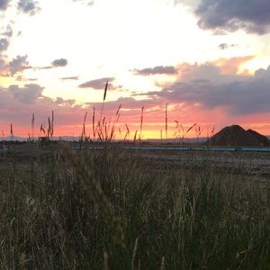 Meet your Posher, Quinn