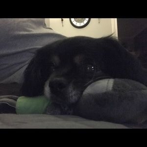 Meet your Posher, Lisa