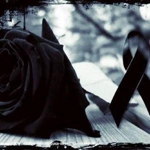 Meet your Posher, Dorothy