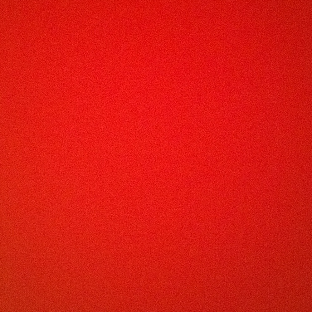 Meet your Posher, Regan