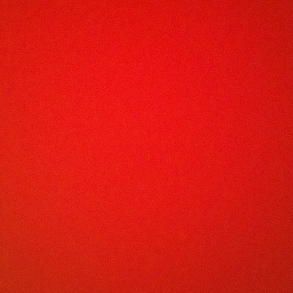 Meet your Posher, Regan - Picture 1 of 1