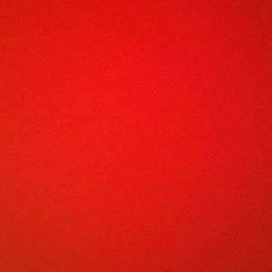 Meet your Posher, Regan