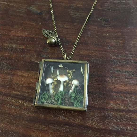 Adorable mushroom terrarium shadowbox necklace - Picture 3 of 3