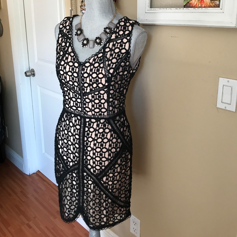 NWOT Greylin Tan & Black Lace Dress