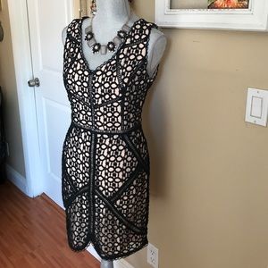 Nwot Greylin Tan & Black Lace Dress - image 1