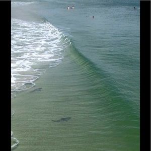 Meet your Posher, Theron