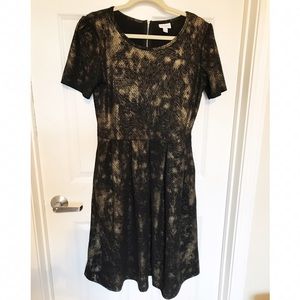 XL Elegant LuLaRoe Amelia