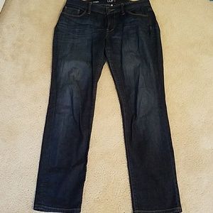Ann Taylor Loft Curvy Straight Jeans