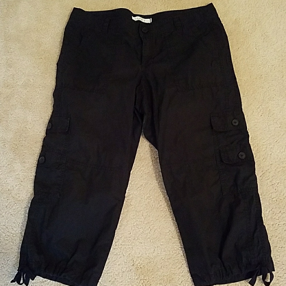 Ann Taylor Loft Capri Pants