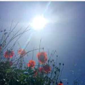 Meet your Posher, Ashli