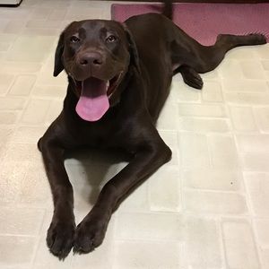 Meet your Posher, Nora