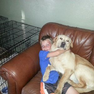 Meet your Posher, Jena