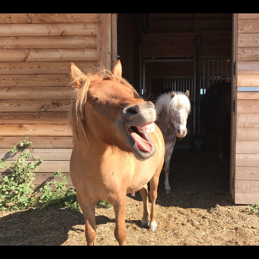 Meet your Posher, Jeanine
