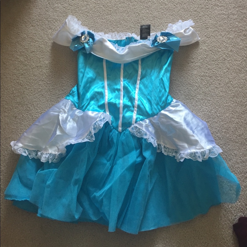 Cinderella costume dress