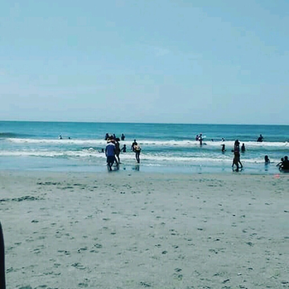 Meet your Posher, Bella