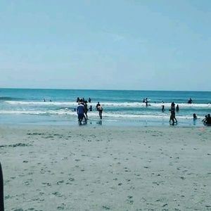 Meet your Posher, Bella