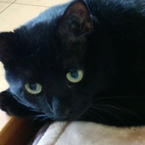 Meet your Posher, Tammy