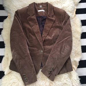 Ann Taylor Brown Business Jacket