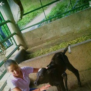 Meet your Posher, Paulina