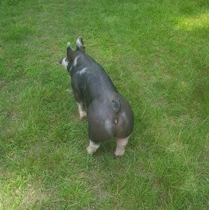 Meet your Posher, Tj