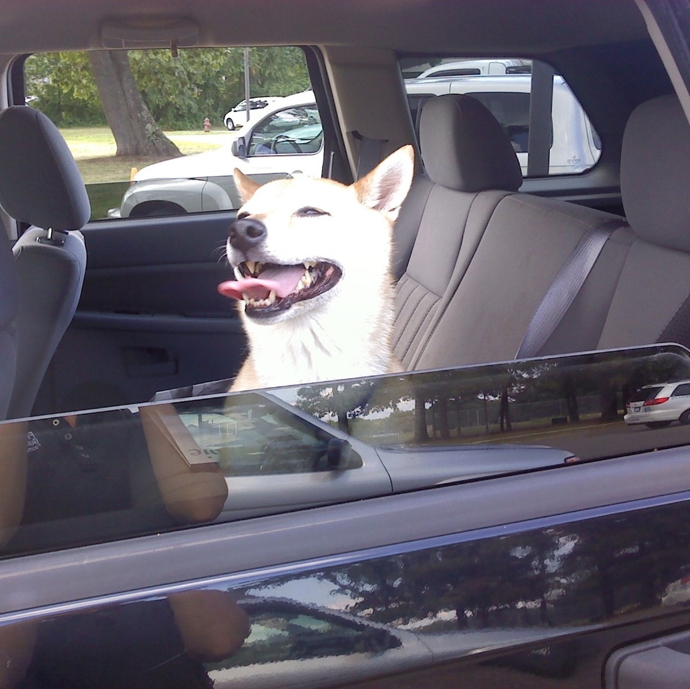 Meet your Posher, Rachel