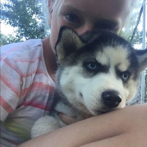 Meet your Posher, Morgan