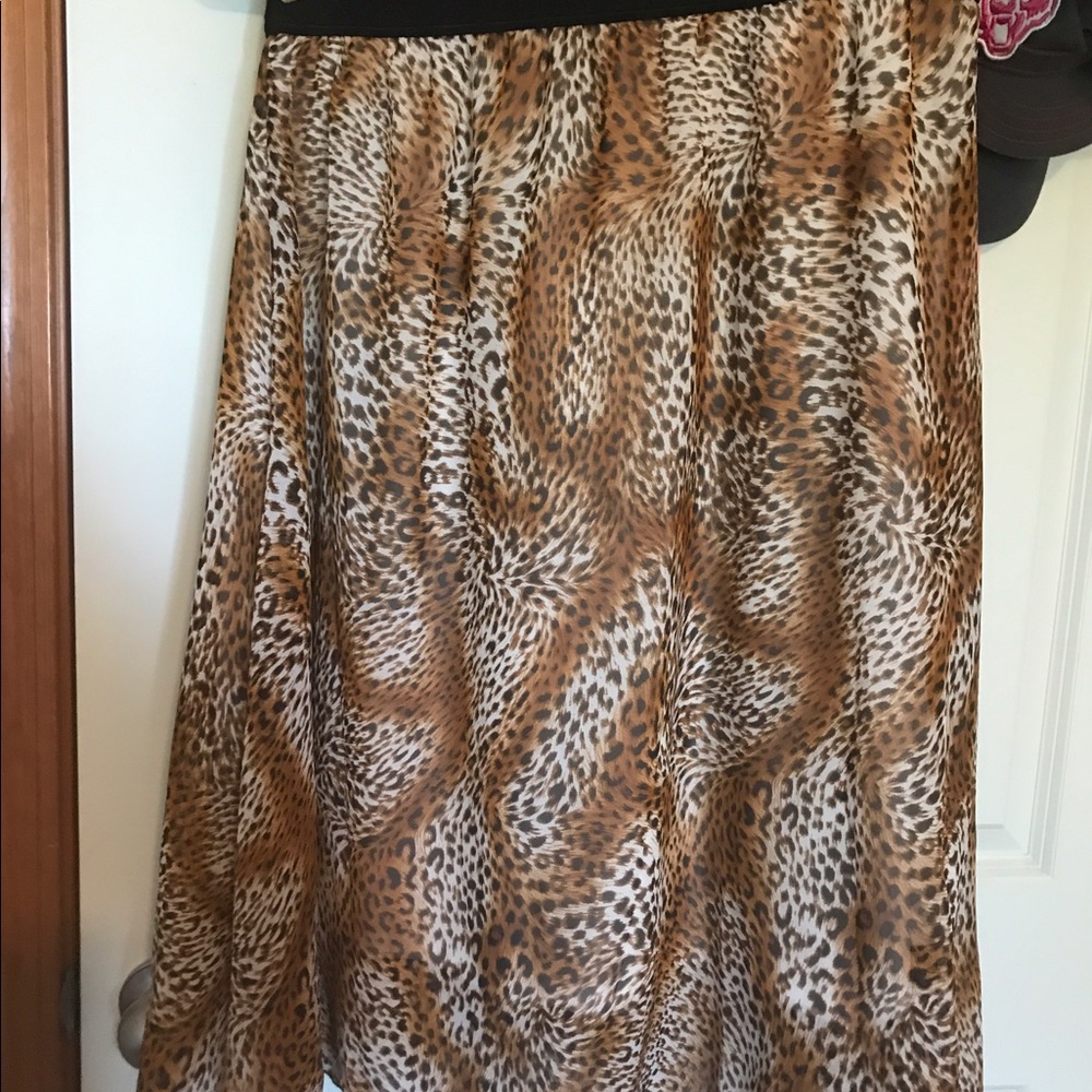 Unicorn!!! Large cheetah print Lola!