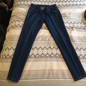 James Jeans Twiggy in Azure Sz 29
