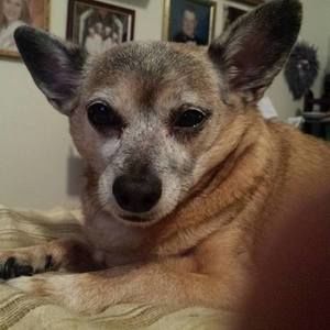 Meet your Posher, Joann