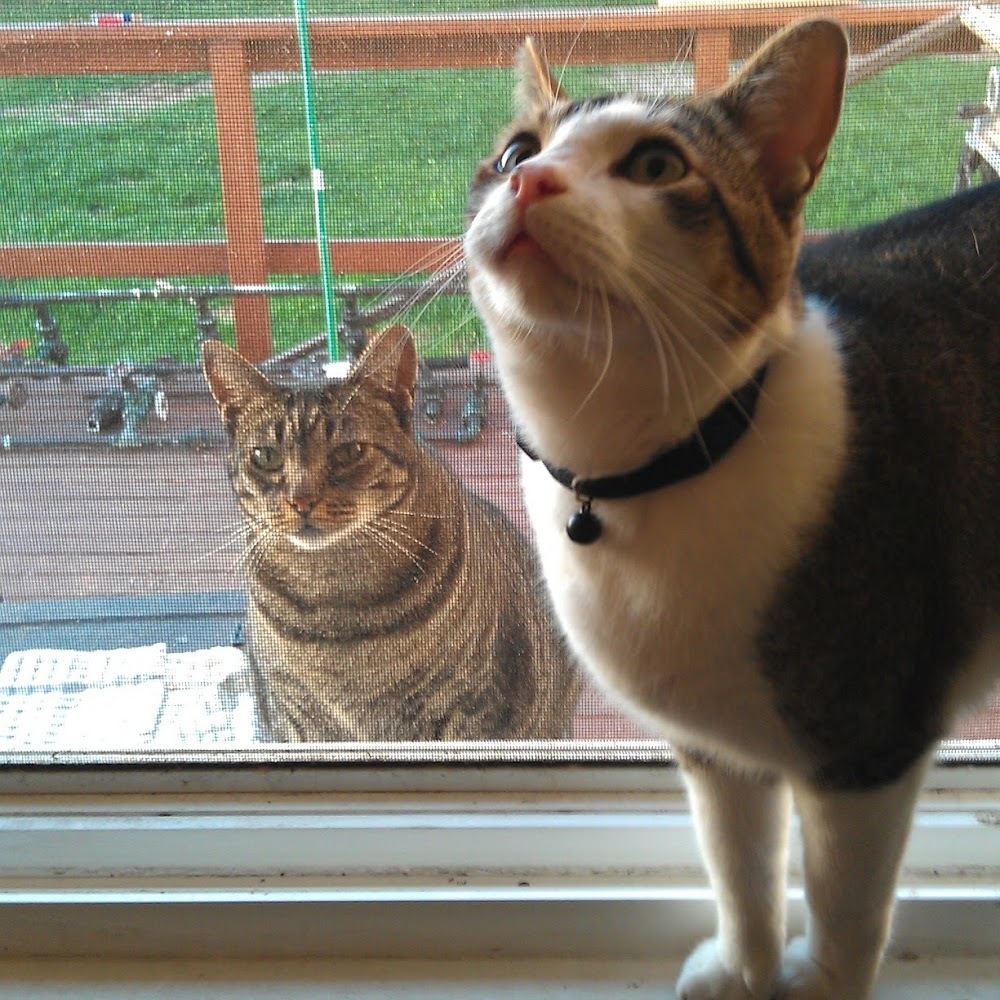 Meet your Posher, Christine