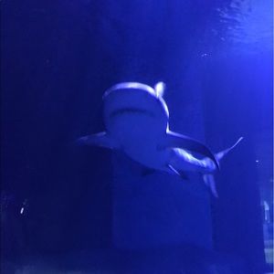 Meet your Posher, Kyle