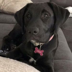 Meet your Posher, Kendra