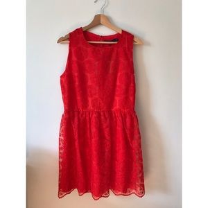 Zara Woman Bright Red Lace Overlay Dress LARGE