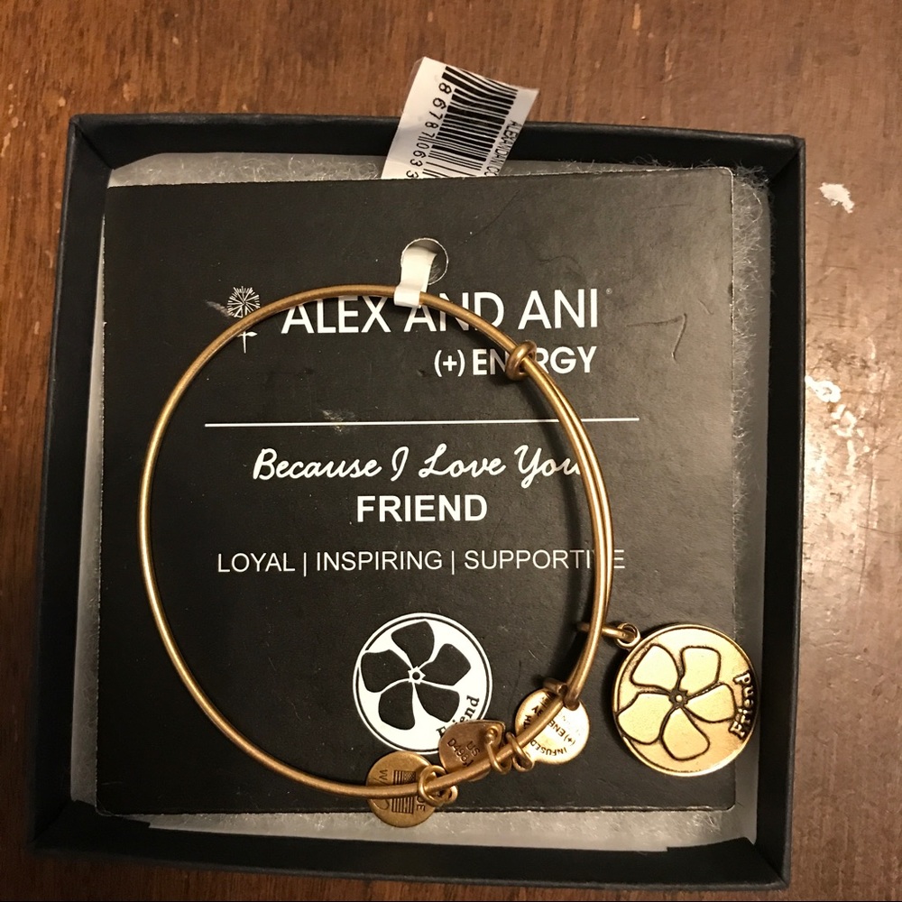 Alex and ani bracelet