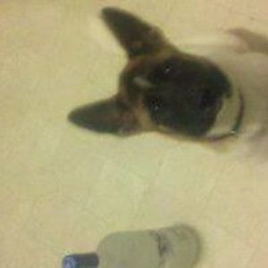 Meet your Posher, Curtis