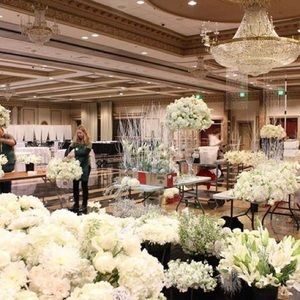 Meet your Posher, Ana