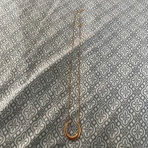 Gold Stella & Dot Double Horn Pendant!