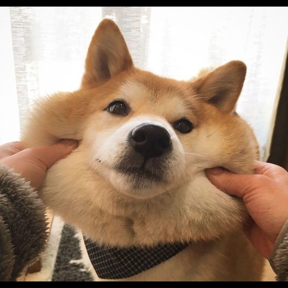 Meet Your Posher, Kelly - Picture 2 of 2