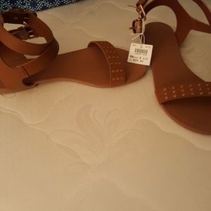 Brand New Gladiators with tags.