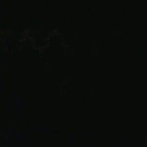 Meet your Posher, Alfredo