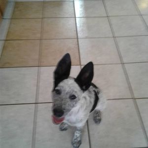 Meet your Posher, Mary