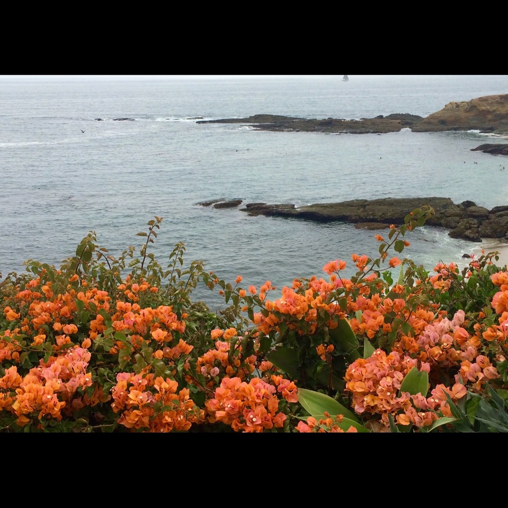 Meet your Posher, Olya