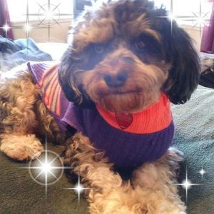 Meet your Posher, Cheryl