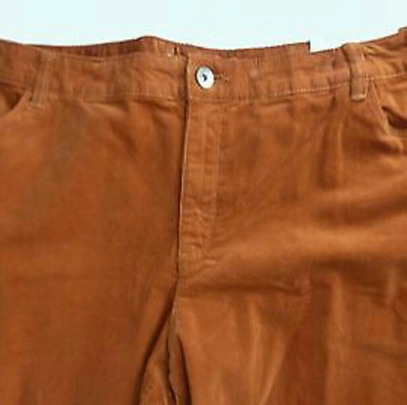 Plus Size Jeans Alert! CATO Rust Orange Pants - Picture 3 of 5