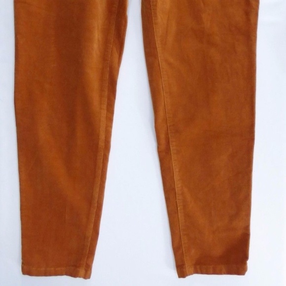 Plus Size Jeans Alert! CATO Rust Orange Pants - Picture 5 of 5