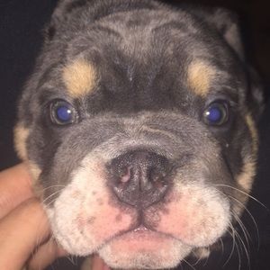 Meet your Posher, Arya